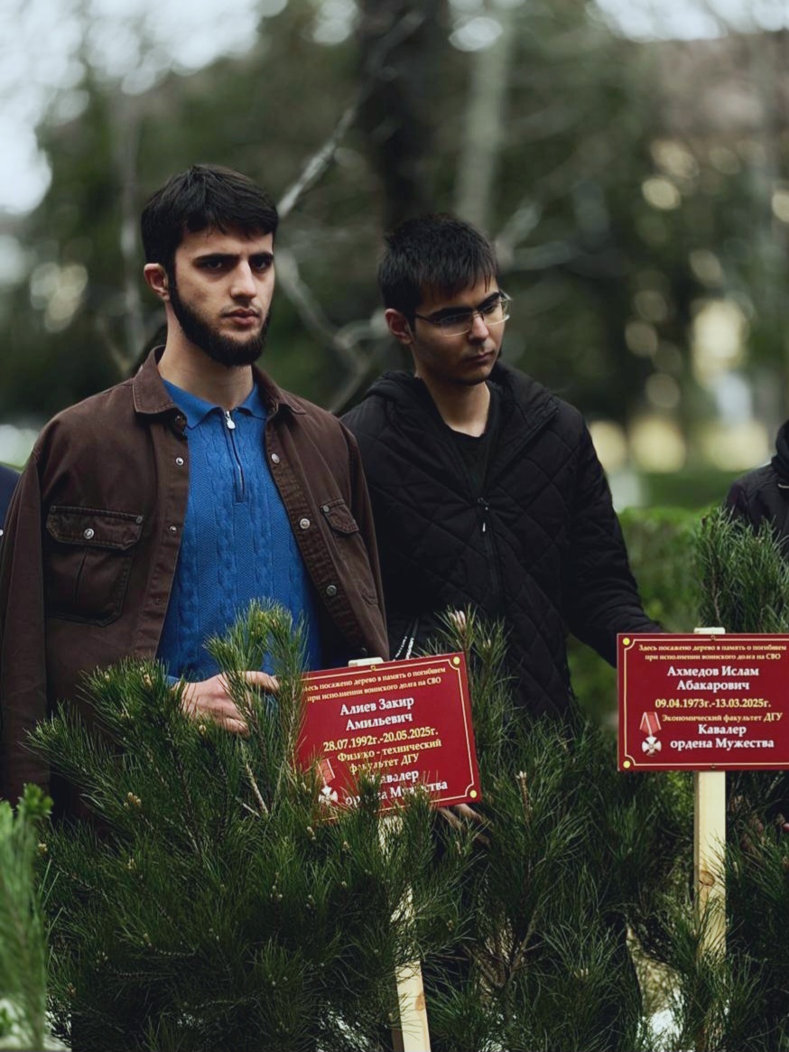 В ДГУ высадили сосны в честь героев СВО