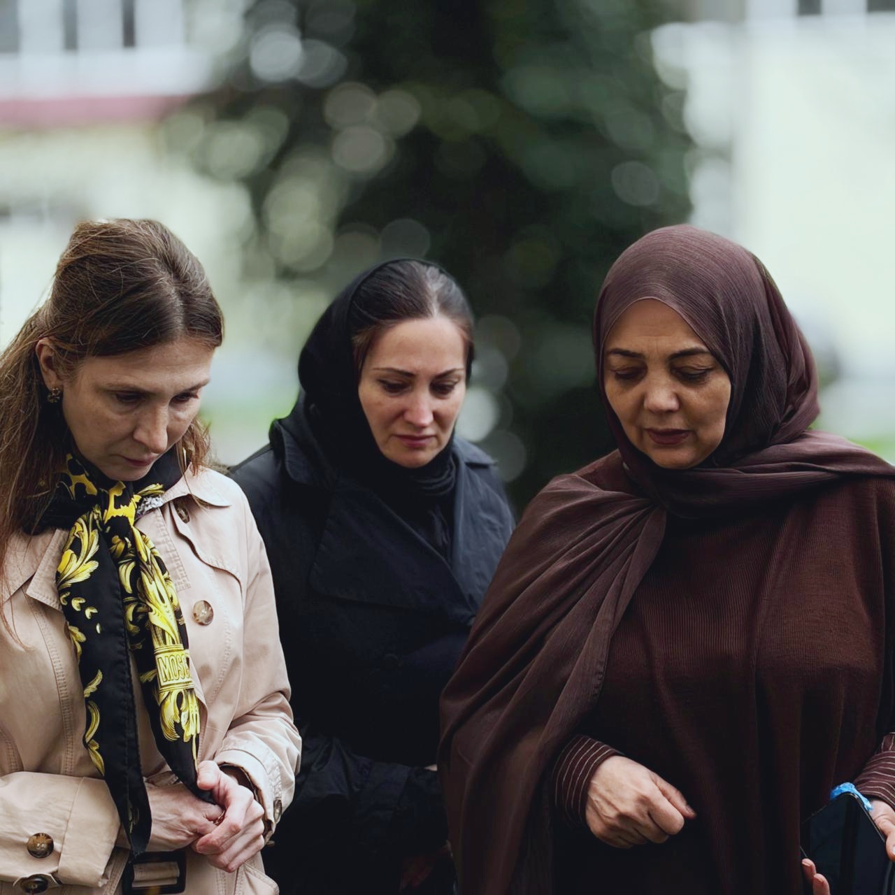 В ДГУ высадили сосны в честь героев СВО